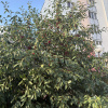 https://cdn.worldota.net/t/100x100/hotel_review/95/5e/955e84ded31b369b88cd851753ff28c78c781875.JPEG