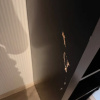 https://cdn.worldota.net/t/100x100/hotel_review/95/88/958852a80c5aa5ced6c2a5d755ab5851e7593ca9.JPEG