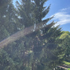 https://cdn.worldota.net/t/{size}/hotel_review/95/e5/95e51e44518b032625935405d0b1676981f7489c.JPEG
