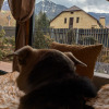 https://cdn.worldota.net/t/{size}/hotel_review/96/87/968768c555c121298a9c0e414f7b9316128e0a15.JPEG