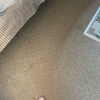 https://cdn.worldota.net/t/100x100/hotel_review/96/e3/96e3b3d2ee315345a20382f1793bbe1b6f3b46c4.JPEG