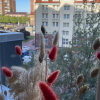 https://cdn.worldota.net/t/100x100/hotel_review/97/e4/97e4a023a6b20a51ac0801ef475b2979aba8483a.JPEG