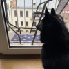 https://cdn.worldota.net/t/100x100/hotel_review/98/f8/98f8012738e23c5e9019cbbff451f1be4e9fd473.JPEG