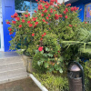 https://cdn.worldota.net/t/100x100/hotel_review/99/1f/991f18b1db4269357c25770de4b1afd219bfd8a2.JPEG