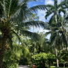https://cdn.worldota.net/t/100x100/hotel_review/99/98/99988492c885a1a1cd6a62f5428327a0561a49dd.JPEG