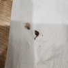 https://cdn.worldota.net/t/100x100/hotel_review/9a/b8/9ab80b6ad95f0614afaa9516bf699575ecf58852.JPEG