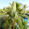 https://cdn.worldota.net/t/100x100/hotel_review/9a/c2/9ac254a68de4efc73063466123db5da56f667a00.JPEG
