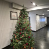 https://cdn.worldota.net/t/100x100/hotel_review/9a/f6/9af69bfa300f7ef504bebc03c00c557bec5796f6.JPEG