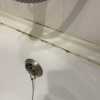 https://cdn.worldota.net/t/100x100/hotel_review/9b/1d/9b1d75176b5d678cc122c4c870a948086597c76c.JPEG