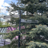 https://cdn.worldota.net/t/100x100/hotel_review/9b/c4/9bc41497a0cb6d8e4e1042fa80154cca897adc17.JPEG