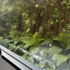 https://cdn.worldota.net/t/{size}/hotel_review/9c/ed/9ced919561edf3f9c9eaa651ee51df0aa47dee6c.JPEG