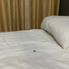 https://cdn.worldota.net/t/{size}/hotel_review/9c/f1/9cf1cd95da2137bab8625a62a03bffc36ad56dba.JPEG
