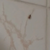 https://cdn.worldota.net/t/100x100/hotel_review/9d/51/9d51405861a1b6bbf179f547800e7cb922eb95d1.JPEG
