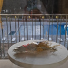 https://cdn.worldota.net/t/100x100/hotel_review/9d/d4/9dd45ca5d1b7b1840dada469e286336880e41a7a.JPEG