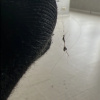 https://cdn.worldota.net/t/100x100/hotel_review/9e/18/9e1805d73bddb3da0508472c54967283912e6b9e.JPEG