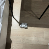 https://cdn.worldota.net/t/100x100/hotel_review/9e/ab/9eab253429a92fee02c9751dccabbc1a7a7a01a5.JPEG