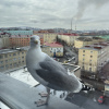 https://cdn.worldota.net/t/100x100/hotel_review/9e/d1/9ed109b7769df64f101029979c1e33c2ecdb784b.JPEG