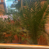 https://cdn.worldota.net/t/100x100/hotel_review/9e/e1/9ee14655a2b86161c234b05f0b06fd35d54f7885.JPEG