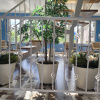 https://cdn.worldota.net/t/100x100/hotel_review/9f/31/9f31f48d1eec61dd4fe3e1eb9f5f980783e92b42.JPEG