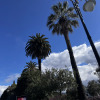 https://cdn.worldota.net/t/100x100/hotel_review/9f/91/9f910035c9121b97ad29c87daa89e8dd96c974cb.JPEG