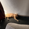 https://cdn.worldota.net/t/100x100/hotel_review/9f/bf/9fbf6d40e92f0bbe5ec52270913c170b19484d83.JPEG
