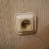 https://cdn.worldota.net/t/100x100/hotel_review/a0/42/a0426c729be116065c65b0b7236a1fa76ea2a0df.JPEG