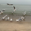https://cdn.worldota.net/t/{size}/hotel_review/a0/b0/a0b0c6901d8dd6b676c660e427371e2ba3e5a148.JPEG