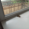 https://cdn.worldota.net/t/100x100/hotel_review/a1/a9/a1a9255400ee974d4fa947b3b804cd98f5b327ed.JPEG