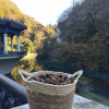 https://cdn.worldota.net/t/100x100/hotel_review/a2/47/a2478904fe1007b6fb86be8c4addea2829d7d1af.JPEG