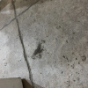 https://cdn.worldota.net/t/100x100/hotel_review/a3/78/a378f8dc5ce1b44b41a37d26869f8c94988b1cbe.JPEG