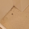 https://cdn.worldota.net/t/100x100/hotel_review/a3/c7/a3c7c6218737885ca0be76a94ff754946959203b.JPEG
