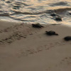 https://cdn.worldota.net/t/100x100/hotel_review/a3/dd/a3dd5063533b70955de5855dab0a66d6bf413a72.JPEG