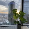 https://cdn.worldota.net/t/{size}/hotel_review/a4/3b/a43bd9eebf1f5ceddf1dc51a8638327e46d29466.jpeg