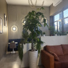 https://cdn.worldota.net/t/100x100/hotel_review/a4/52/a452111ce75f7ccb68a6451e98a8787efe6946df.JPEG