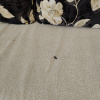 https://cdn.worldota.net/t/100x100/hotel_review/a4/ab/a4ab4c40cc6deabc24666b373a3397bcc76d80ec.JPEG