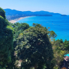 https://cdn.worldota.net/t/{size}/hotel_review/a4/c5/a4c5c08b9de8def5c276fb5abb78ab5afa34b863.JPEG