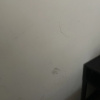 https://cdn.worldota.net/t/{size}/hotel_review/a4/df/a4df1c3b7a367206b19410af478283b037bc467c.JPEG