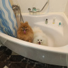 https://cdn.worldota.net/t/{size}/hotel_review/a6/1e/a61e839e0a8ad8fe69b8d4576838fb78bd661a0c.JPEG