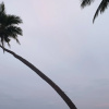 https://cdn.worldota.net/t/{size}/hotel_review/a6/99/a699a31bfe78e97a302c4edaf03cb329599fd909.JPEG