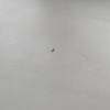 https://cdn.worldota.net/t/100x100/hotel_review/a7/85/a7856a1d27ee849777d5b214201b1147dcefda78.JPEG