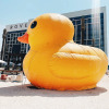https://cdn.worldota.net/t/{size}/hotel_review/a7/aa/a7aa37c19acf141f04046144c815f9c0c80768c9.JPEG