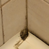 https://cdn.worldota.net/t/100x100/hotel_review/a8/64/a864d7871e06e7b6d40d1d72b2c12b47a73f138c.JPEG