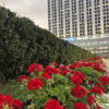 https://cdn.worldota.net/t/100x100/hotel_review/a8/85/a8858ed531e49140d51c3c9474a8e64876f20cad.JPEG