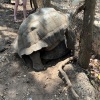 https://cdn.worldota.net/t/{size}/hotel_review/a8/b9/a8b9b62378149ec0ca6bad0ee105b4de1c9d2e7a.jpeg