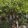 https://cdn.worldota.net/t/100x100/hotel_review/a8/df/a8df51aa8a8470bb9667959d2623320fc4217bfe.JPEG