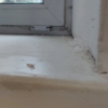https://cdn.worldota.net/t/100x100/hotel_review/a9/3b/a93b0f7174afaf19146d9a29ba5479f1787d6ecb.JPEG