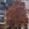 https://cdn.worldota.net/t/100x100/hotel_review/a9/c5/a9c596dfe23d0fc55e8b8e37fad47496e197c795.JPEG