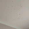 https://cdn.worldota.net/t/100x100/hotel_review/a9/f1/a9f1d6f3ef32d07fc1c95eb0cc595fe296f82d2d.jpeg