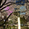 https://cdn.worldota.net/t/100x100/hotel_review/a9/fc/a9fc99cf144d897e137a466b5f12ac3837266415.JPEG