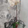 https://cdn.worldota.net/t/{size}/hotel_review/aa/b8/aab8898ece22ba8f468313da1a836164073fb54b.JPEG